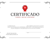 Certificado de curso simples